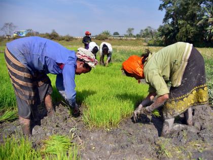 Govt sets target to bring additional 100 lakh hectares under micro-irrigation during 2025-30 | Govt sets target to bring additional 100 lakh hectares under micro-irrigation during 2025-30 Govt sets target to bring additional 100 lakh hectares under micro-irrigation during 2025-30 | Govt sets target to bring additional 100 lakh hectares under micro-irrigation during 2025-30