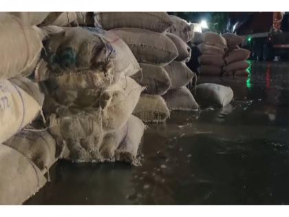 "There's no one to listen to our plight": Farmers blame poor arrangements after unseasonal rain damages crops in Ajmer | "There's no one to listen to our plight": Farmers blame poor arrangements after unseasonal rain damages crops in Ajmer "There's no one to listen to our plight": Farmers blame poor arrangements after unseasonal rain damages crops in Ajmer | "There's no one to listen to our plight": Farmers blame poor arrangements after unseasonal rain damages crops in Ajmer