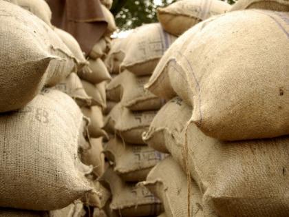 Wheat procurement in Punjab breaks 5 year record | Wheat procurement in Punjab breaks 5 year record