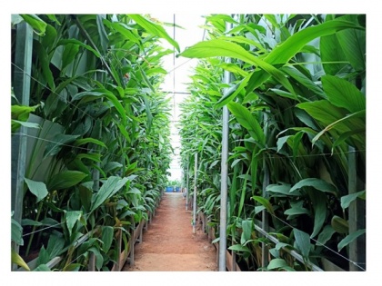 A S Agri and Aqua LLP - Pioneering force behind Hi-Tech Soil-Based Vertical Farming in India | A S Agri and Aqua LLP - Pioneering force behind Hi-Tech Soil-Based Vertical Farming in India