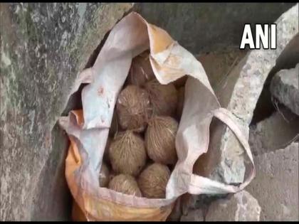 Police recover crude bombs from football ground in West Bengal's Birbhum | Police recover crude bombs from football ground in West Bengal's Birbhum