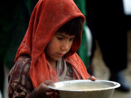 Half of Afghanistan's population facing acute hunger: WFP | Half of Afghanistan's population facing acute hunger: WFP