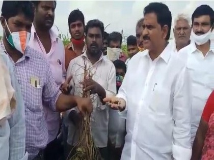 TDP leader visits submerged farm fields, demands immediate compensation for crop losses | TDP leader visits submerged farm fields, demands immediate compensation for crop losses