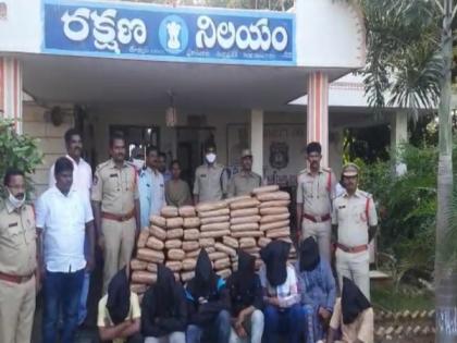 Andhra: 400 kg ganja seized, seven held | Andhra: 400 kg ganja seized, seven held Andhra: 400 kg ganja seized, seven held | Andhra: 400 kg ganja seized, seven held