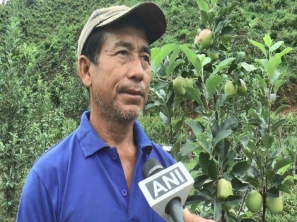 Manipur farmer grows apples in one year! | Manipur farmer grows apples in one year!