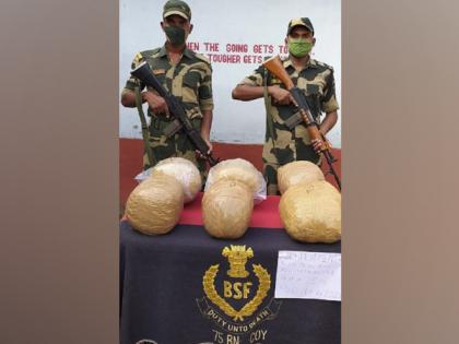 BSF thwarts smuggling bid along India-Bangladesh border, seizes 25 kg cannabis | BSF thwarts smuggling bid along India-Bangladesh border, seizes 25 kg cannabis