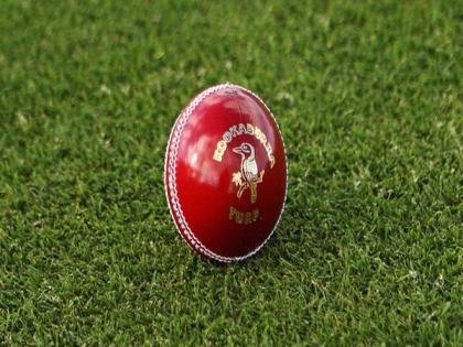 Refined Kookaburra red Turf ball to be introduced in Marsh Sheffield Shield | Refined Kookaburra red Turf ball to be introduced in Marsh Sheffield Shield