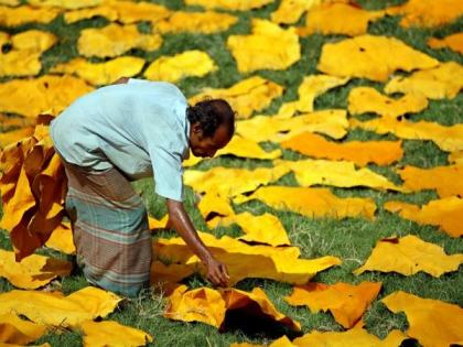 Bangladesh traders forced to export leather to China at low prices | Bangladesh traders forced to export leather to China at low prices Bangladesh traders forced to export leather to China at low prices | Bangladesh traders forced to export leather to China at low prices