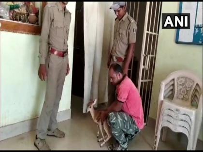 Barking deer rescued from farmer's house in Odisha's Nayagarh | Barking deer rescued from farmer's house in Odisha's Nayagarh