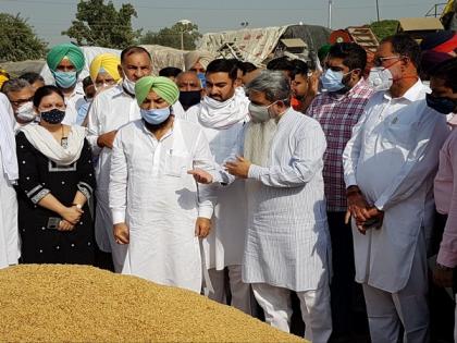 Punjab govt starts paddy procurement at Khanna grain market | Punjab govt starts paddy procurement at Khanna grain market