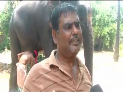 Bihar man wills half of his property to two elephants | Bihar man wills half of his property to two elephants