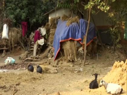 Tribal village in West Bengal's Birbhum lacks toilet facilities; Mamata pays visit, assures aid | Tribal village in West Bengal's Birbhum lacks toilet facilities; Mamata pays visit, assures aid