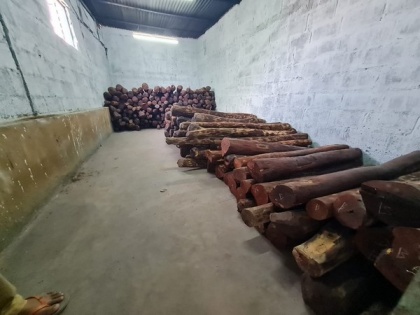2 held, red sandalwood worth Rs 4.5 cr seized by Bengaluru Central Crime Branch | 2 held, red sandalwood worth Rs 4.5 cr seized by Bengaluru Central Crime Branch