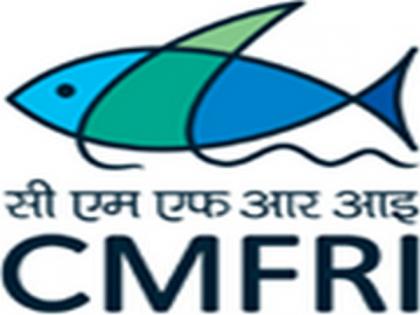 Indian oil sardine seemingly on revival path along Kerala coast: CMFRI | Indian oil sardine seemingly on revival path along Kerala coast: CMFRI