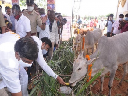 Karnataka minister bats for ban on beef exports, cow slaughter | Karnataka minister bats for ban on beef exports, cow slaughter