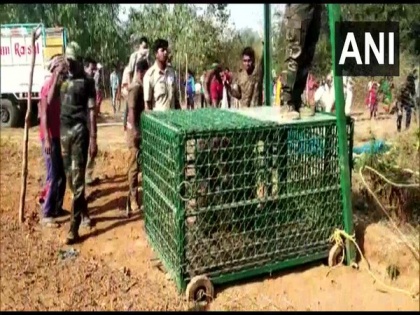Forest department rescues wild bear from abandoned pit in Odisha's Nabarangpur | Forest department rescues wild bear from abandoned pit in Odisha's Nabarangpur