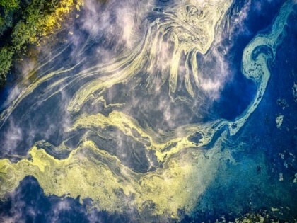 Study: Climate change could impact algae in global ocean | Study: Climate change could impact algae in global ocean