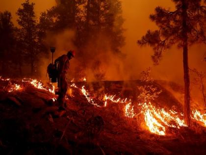 India express concerns over blazing wildfires in Greece | India express concerns over blazing wildfires in Greece