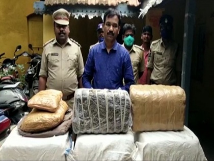 77 kgs of cannabis seized in Andhra Pradesh's Krishna; five detained | 77 kgs of cannabis seized in Andhra Pradesh's Krishna; five detained