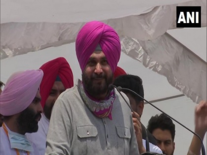 Those who love Punjab used as showpieces during polls: Navjot Sidhu | Those who love Punjab used as showpieces during polls: Navjot Sidhu