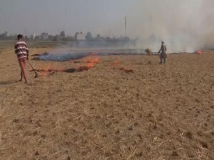 Punjab farmers demand Rs 7,000 per acre compensation to stop stubble burning | Punjab farmers demand Rs 7,000 per acre compensation to stop stubble burning