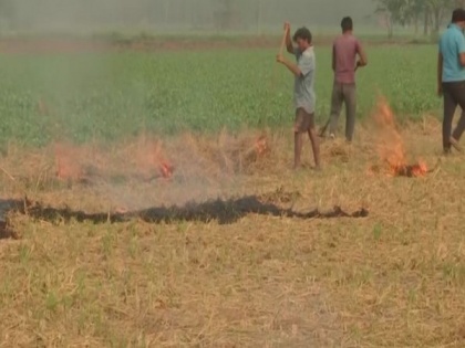 Punjab farmers continue to burn stubble, say govt has not provided compensation or equipment to stop it | Punjab farmers continue to burn stubble, say govt has not provided compensation or equipment to stop it