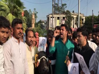 Indore: Youth Congress protest against Kangana Ranaut over her remark about India's independence | Indore: Youth Congress protest against Kangana Ranaut over her remark about India's independence