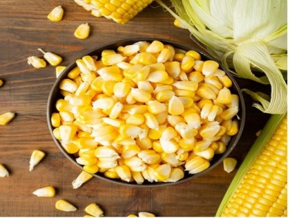 SnacAtac introduces Cornado, a new age corn-based crunchy snack | SnacAtac introduces Cornado, a new age corn-based crunchy snack