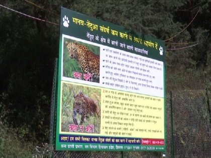Shimla: Residents demand immediate Govt action after leopard kills 2 children within 3 mths | Shimla: Residents demand immediate Govt action after leopard kills 2 children within 3 mths