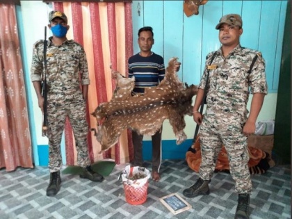 West Bengal: Sarugara forest officials arrest one with deer skin | West Bengal: Sarugara forest officials arrest one with deer skin