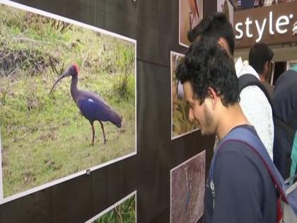 Photography exhibition as part of North Bengal Bird Festival begins in Siliguri | Photography exhibition as part of North Bengal Bird Festival begins in Siliguri