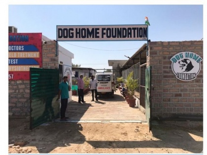 Kuldeep, A Ray of hope for ill-treated dogs by Dog Home Foundation | Kuldeep, A Ray of hope for ill-treated dogs by Dog Home Foundation