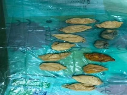 312 grams cocaine recovered from passenger at Mumbai airport | 312 grams cocaine recovered from passenger at Mumbai airport