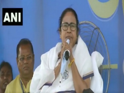 'Industrial growth has stopped, only PM Modi's beard is growing': Mamata Banerjee | 'Industrial growth has stopped, only PM Modi's beard is growing': Mamata Banerjee
