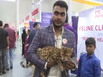 Telangana: 3-day event showcasing Indian pets concluded on Sunday | Telangana: 3-day event showcasing Indian pets concluded on Sunday