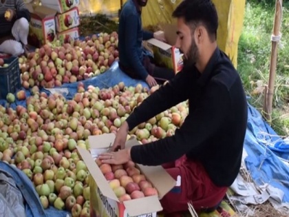 J-K apple growers express happiness over new farm laws | J-K apple growers express happiness over new farm laws