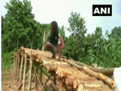 Fed up with admin's 'laxity', Odisha villagers constructing bridge on their own | Fed up with admin's 'laxity', Odisha villagers constructing bridge on their own