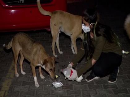 Meet the Delhi vet student who feeds stray dogs during lockdown | Meet the Delhi vet student who feeds stray dogs during lockdown