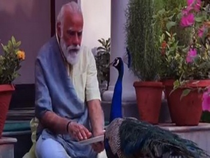PM Modi spends time with peacocks at residence, shares video | PM Modi spends time with peacocks at residence, shares video