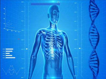Study discovers distinct biological ages across individuals' various organs, systems | Study discovers distinct biological ages across individuals' various organs, systems