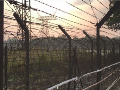 Anti-cut fencing introduced to improve surveillance at India-Bangladesh border | Anti-cut fencing introduced to improve surveillance at India-Bangladesh border