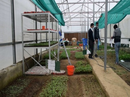 Polyhouse in Shopian provides quality seedlings, helps farmers boost their income | Polyhouse in Shopian provides quality seedlings, helps farmers boost their income