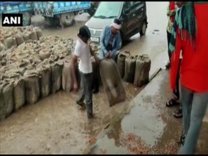 BJP MLA slams MP Food and Civil Supplies Minister for damage to procured grains at Kolaras Mandi | BJP MLA slams MP Food and Civil Supplies Minister for damage to procured grains at Kolaras Mandi