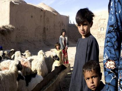 Children's future in Pak's Sindh not bright, worst forms of child abuse, bonded labour prevalent: Activist | Children's future in Pak's Sindh not bright, worst forms of child abuse, bonded labour prevalent: Activist