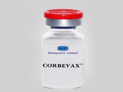 Corbevax COVID vaccine is safe, offers high antibody levels: NTAGI chief | Corbevax COVID vaccine is safe, offers high antibody levels: NTAGI chief