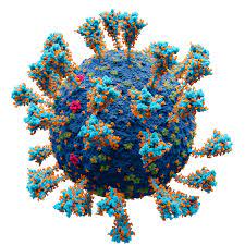 Tunisia detects 1st case of new coronavirus variant EG.5 | Tunisia detects 1st case of new coronavirus variant EG.5 Tunisia detects 1st case of new coronavirus variant EG.5 | Tunisia detects 1st case of new coronavirus variant EG.5