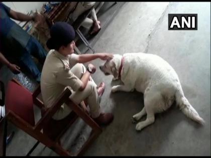 Deserted after owners were jailed, dog finds home at police station | Deserted after owners were jailed, dog finds home at police station Deserted after owners were jailed, dog finds home at police station | Deserted after owners were jailed, dog finds home at police station