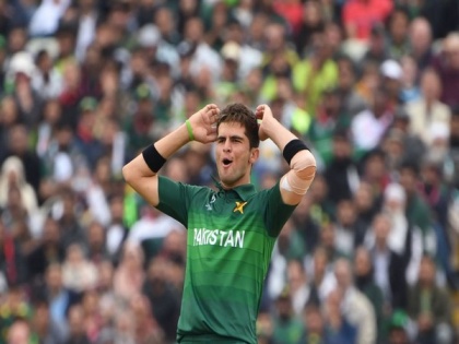 Middlesex CCC sign Pakistan's Shaheen Shah Afridi for 2022 season | Middlesex CCC sign Pakistan's Shaheen Shah Afridi for 2022 season