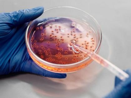 Improper DNA division leads to human developmental disorder: Study | Improper DNA division leads to human developmental disorder: Study Improper DNA division leads to human developmental disorder: Study | Improper DNA division leads to human developmental disorder: Study