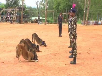 100 new dogs to give more teeth to CRPF in anti-insurgency operations | 100 new dogs to give more teeth to CRPF in anti-insurgency operations